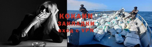 сатива Беломорск