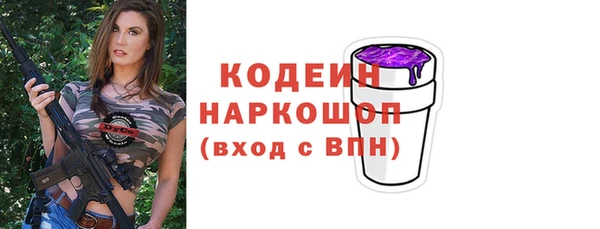 сатива Беломорск