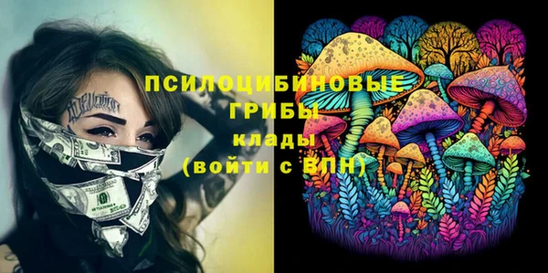 спиды Белокуриха