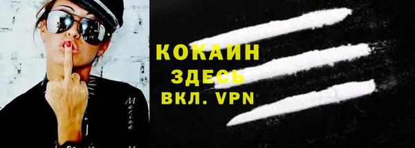 сатива Беломорск