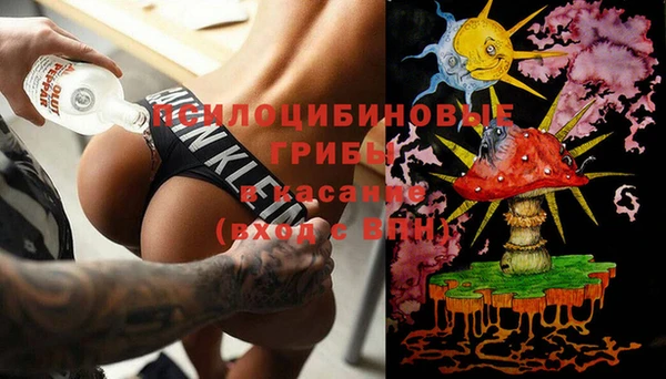 сатива Беломорск