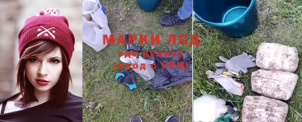 спиды Белокуриха