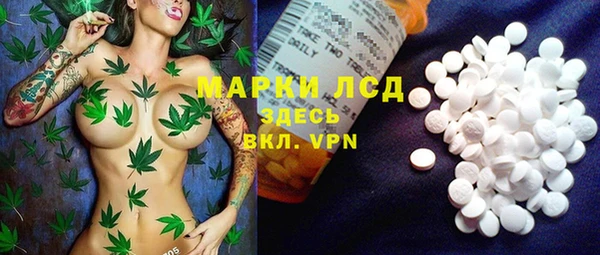 спиды Белокуриха