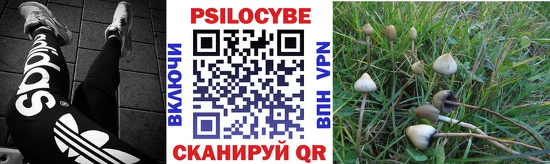 наркота  Красный Сулин  mega зеркало  Псилоцибиновые грибы Psilocybe 